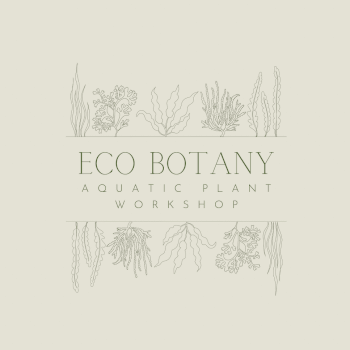The Eco botany Workshop, terrarium teacher